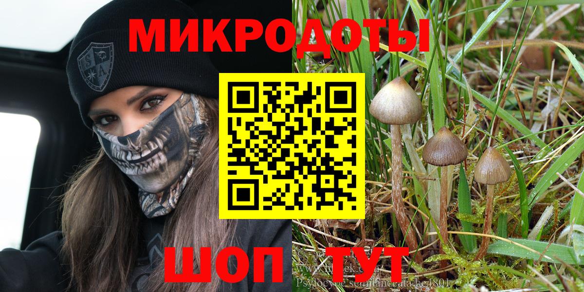 Псилоцибиновые грибы Cubensis  Вход с VPN  Псилоцибиновые грибы Psilocybine cubensis  Гусев 