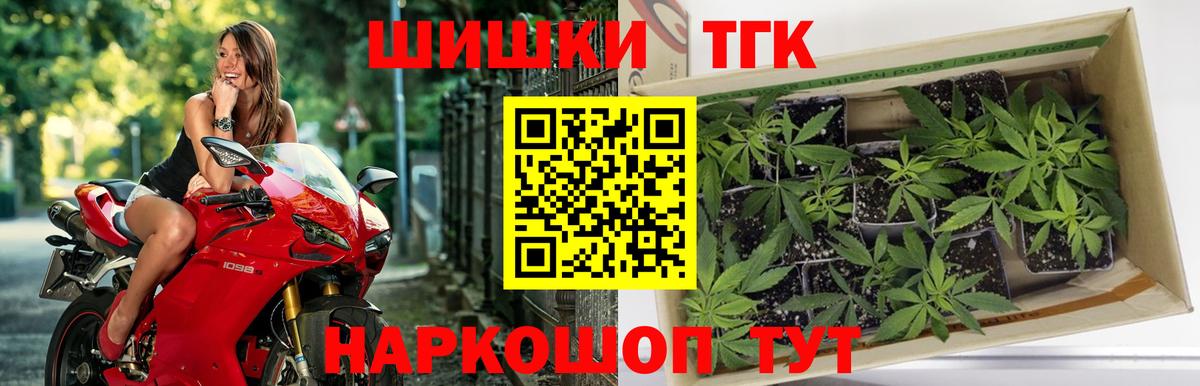 Гусев  Конопля план  Конопля MAZAR  Вход с VPN  Бошки Шишки тримм 